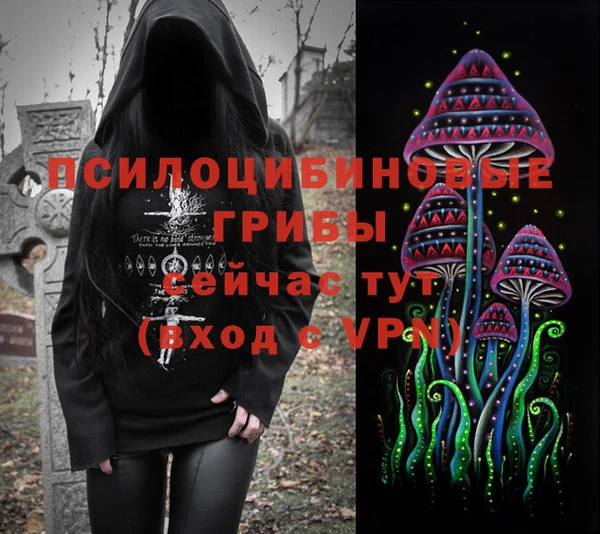 бошки Беломорск